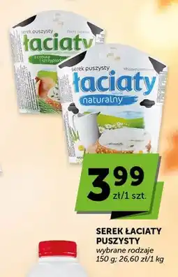 ABC Serek Łaciaty puszysty naturalny oferta