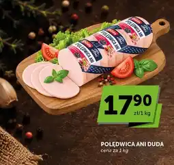 ABC Polędwica Ani Duda oferta