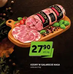 ABC Ozory w galarecie Haga oferta