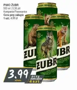 Słoneczko Piwo Żubr oferta