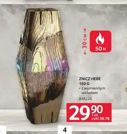 Selgros Znicz Hebe oferta