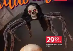 Selgros Pająk z głową czaszki oferta