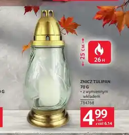 Selgros Znicz Tulipan z wymiennym wkładem oferta