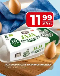 Top Market Jaja Spiżarnia oferta