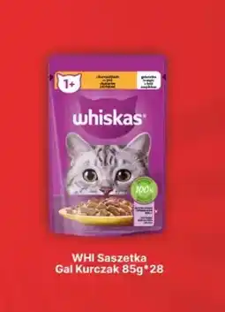 API MARKET Karma dla kota Whiskas saszetka galaretka kurczak oferta