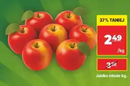 API MARKET Jabłka młode oferta