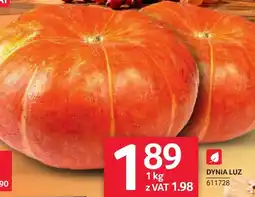 Selgros Dynia oferta
