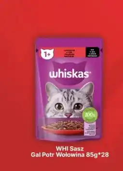 API MARKET Karma dla kota Whiskas saszetka galaretka potrawka wołowina oferta