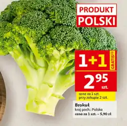 Auchan Brokuł Polski oferta