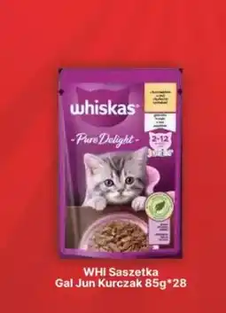 API MARKET Karma dla kota Whiskas saszetka galaretka Junior kurczak oferta