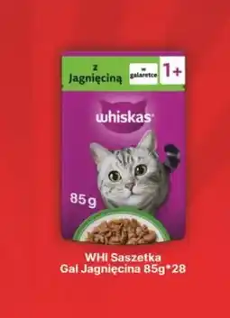 API MARKET Karma dla kota Whiskas saszetka galaretka jagnięcina oferta