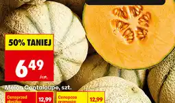 Biedronka Melon Cantaloupe, szt oferta