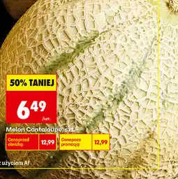 Biedronka Melon Cantaloupe oferta