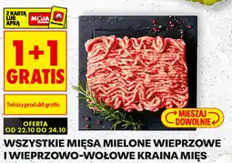 Biedronka Wszystkie mięsa mielone wieprzowe i wieprzowo-wołowe Kraina Mięs oferta