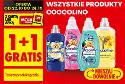 Biedronka Wszystkie produkty Coccolino oferta