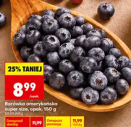 Biedronka Borówka amerykańska super size, opak oferta