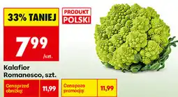 Biedronka Kalafior Romanesco, szt oferta