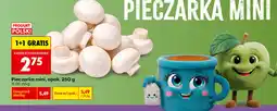 Biedronka Pieczarka mini, opak oferta