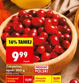 Biedronka Żurawina, opak oferta
