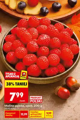 Biedronka Malina polska, opak oferta