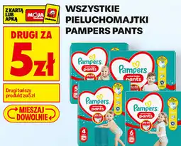 Biedronka Wszystkie pieluchomajtki Pampers Pants oferta