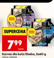 Biedronka Karma dla kota Sheba oferta