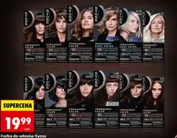 Biedronka Farba do włosów Syoss Permanent Color oferta