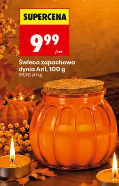 Biedronka Świeca zapachowa dynia Aril oferta