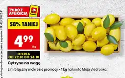 Biedronka Cytryny oferta