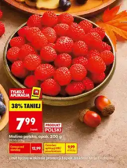 Biedronka Maliny polskie oferta