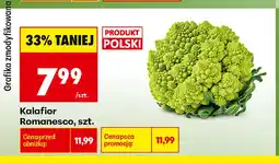 Biedronka Kalafior Romanesco polski oferta