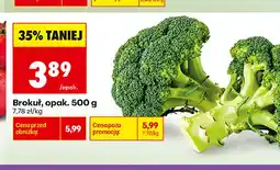 Biedronka Brokuł oferta