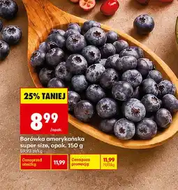 Biedronka Borówki amerykańskie super size oferta
