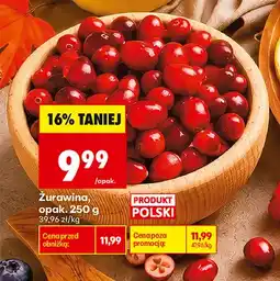 Biedronka Żurawina polska oferta