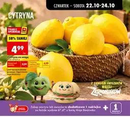 Biedronka Cytryny oferta