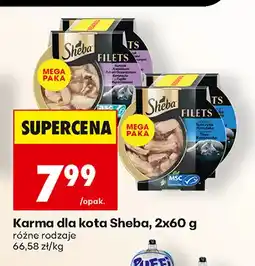 Biedronka Karma dla kota Sheba 2-pak oferta