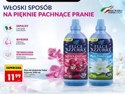 Biedronka Płyn do płukania Black Orchid Felce Azzurra oferta