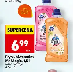 Biedronka Płyn uniwersalny Mr Magic oferta