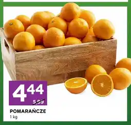 Stokrotka Pomarańcze oferta