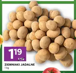 Stokrotka Ziemniaki jadalne oferta