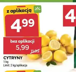 Stokrotka Cytryny oferta