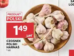 Stokrotka Czosnek polski Harnaś oferta