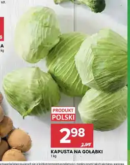 Stokrotka Kapusta na gołąbki oferta