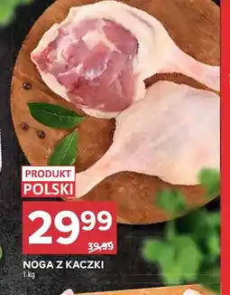Stokrotka Noga z kaczki oferta
