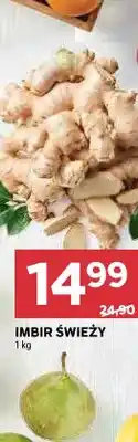 Stokrotka Imbir świeży oferta