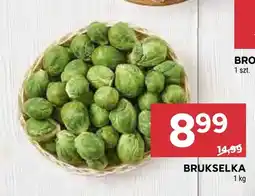 Stokrotka Brukselka oferta