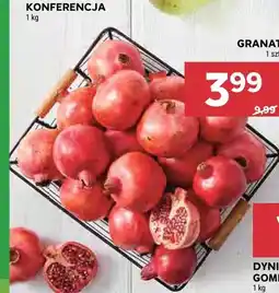 Stokrotka Granat oferta