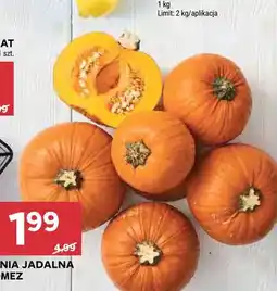 Stokrotka Dynia jadalna Gomez oferta