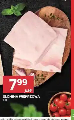 Stokrotka Słonina wieprzowa oferta