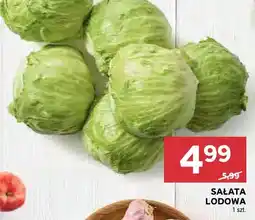 Stokrotka Sałata lodowa oferta